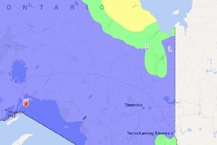 Weekend forest fire hazard low to moderate