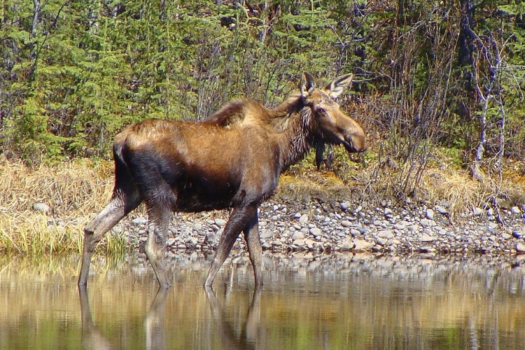 Altercation while hunting costs woman 10-year ban