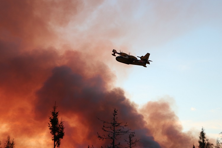 Fewer forest fires, more area burned