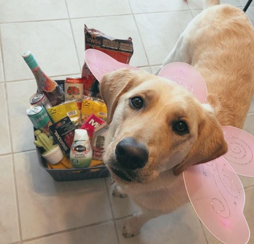 Wine fairies on the loose right across Cochrane District