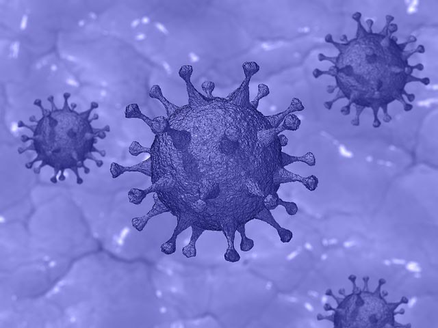 Ontario reports over 200 new COVID-19 cases