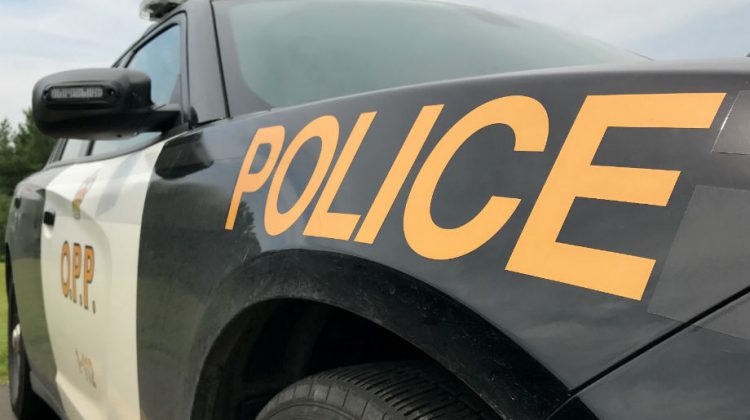 Winnipeg man dies following single vehicle accident near Smooth Rock Falls
