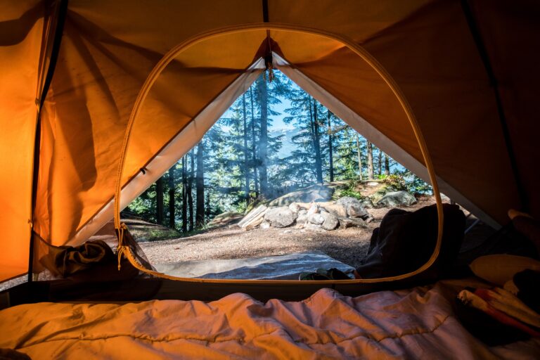 Immigration Resource Network to offer camping weekend experience for newcomers