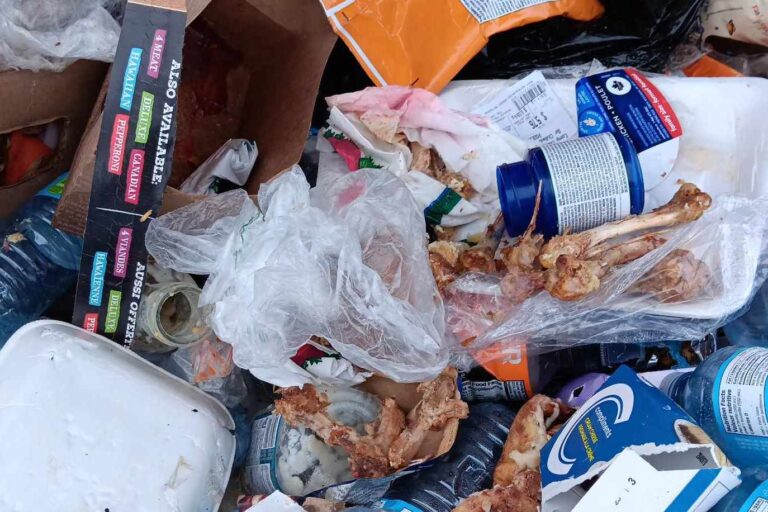 Who’s putting garbage in Porquis recycle bin?